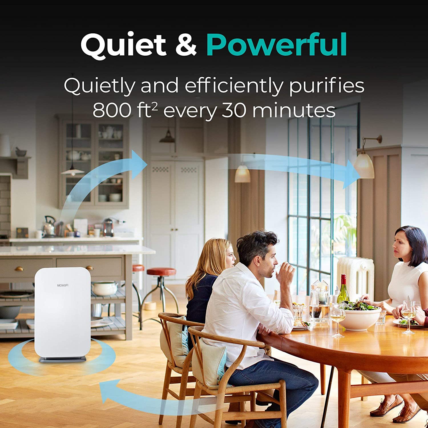 45i Air Purifier