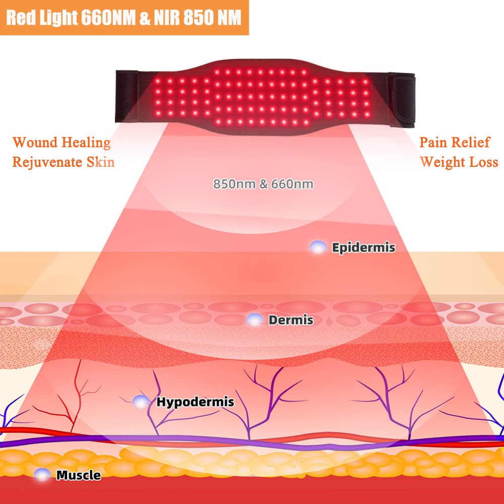 Red light therapy belt for body pain – MCWOFI